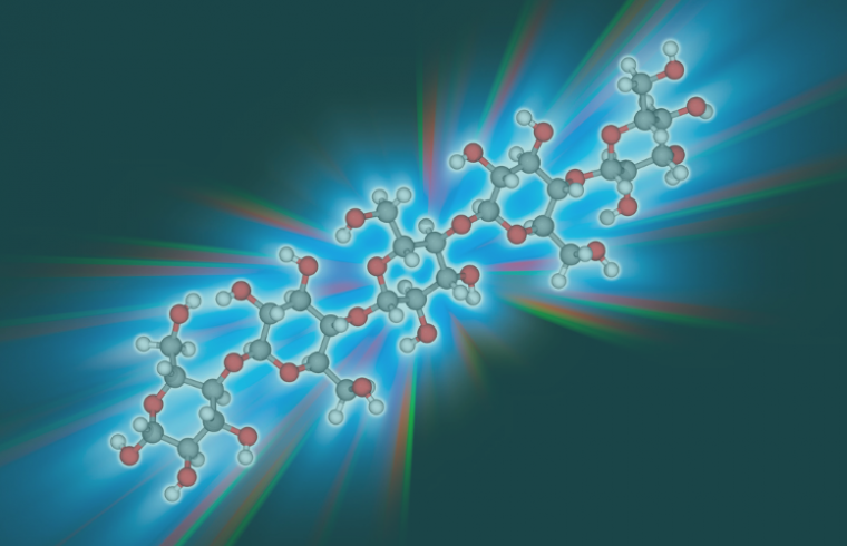 The biochemical structure of LPS and how it acts in nature vs. the lab