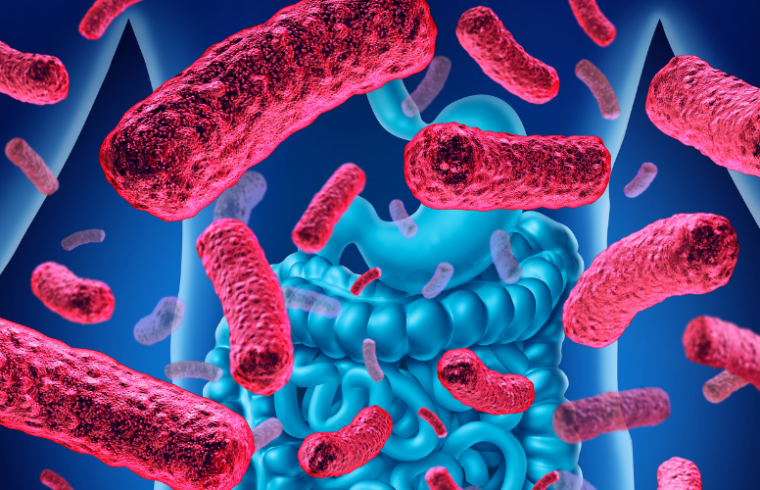6 Types of Diseases in Humans Related to Endotoxins of Gram-negative Bacteria