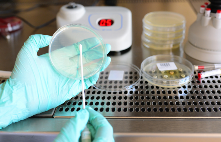 Comparing the LAL Method with the Pyrogen Test on Rabbits