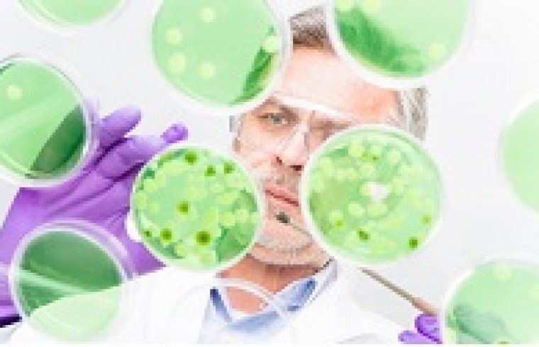 The Detection of Endotoxins Via the LAL Test, the Chromogenic Method